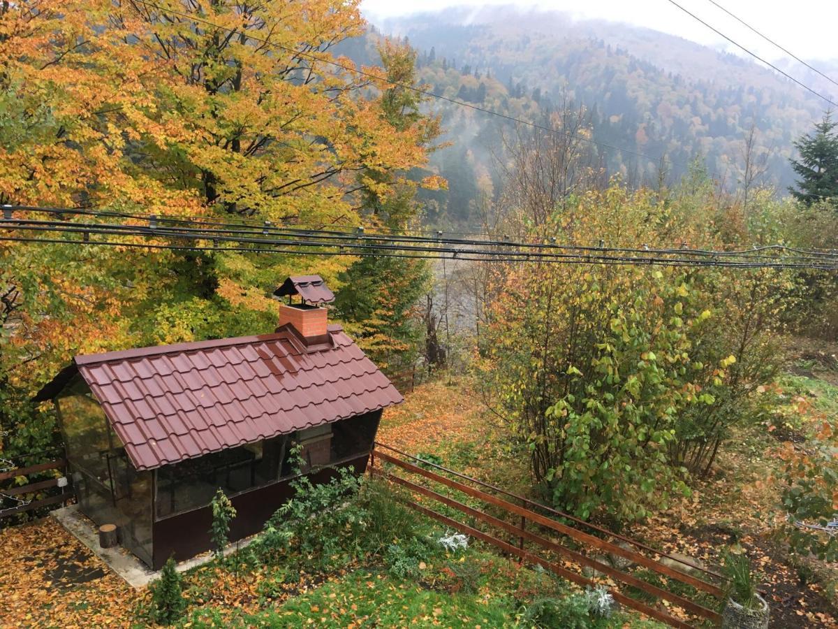 Mini-Hotel Serpanok マイコリチン エクステリア 写真